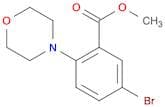Methyl 5-bromo-2-morpholinobenzoate