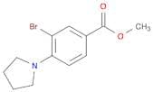 Methyl 3-bromo-4-(pyrrolidin-1-yl)benzoate