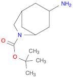3-AMINO-6-AZA-BICYCLO[3.2.1]OCTANE-6-CARBOXYLIC ACID TERT-BUTYL ESTER