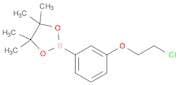 3-(2-Chloroethoxy)phenylboronic acid, pinacol ester