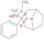 Tert-Butyl 3-Hydroxy-3-Phenyl-8-Azabicyclo[3.2.1]Octane-8-Carboxylate