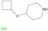 4-Cyclobutoxypiperidine-Hcl
