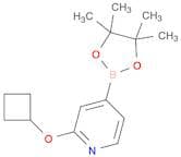 2-(Cyclobutoxy)pyridine-4-boronic acid pinacol ester