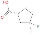 (R)-3,3-Difluorocyclopentanecarboxylic acid