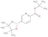 Tert-Butyl 5-(4,4,5,5-Tetramethyl-1,3,2-Dioxaborolan-2-Yl)Picolinate