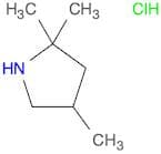 2,2,4-Trimethylpyrrolidine Hydrochloride