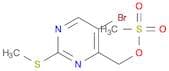 (5-Bromo-2-(methylthio)pyrimidin-4-yl)methyl methanesulfonate