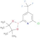 2-Chloro-4-(trifluoromethyl)pyridine-2-boronic acid pinacol ester