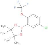 5-Chloro-2-(trifluoromethoxy)phenylboronic acid, pinacol ester