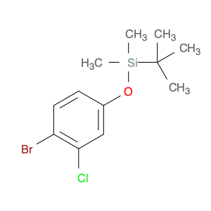 Silane, (4-bromo-3-chlorophenoxy)(1,1-dimethylethyl)dimethyl-