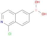1-chloroisoquinolin-6-yl-6-boronic acid