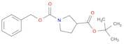 tert-Butyl1-Cbz-pyrrolidine-3-carboxylate