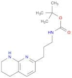 2-(3-(BOC-AMINO)-PROPYL)-5,6,7,8-TETRAHYDRO-1,8-NAPHTHYRIDINE