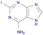 2-iodo-7H-purin-6-amine