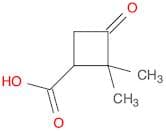 2,2-Dimethyl-3-oxocyclobutanecarboxylic acid