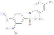 N-(2,4-Dimethyl-phenyl)-4-hydrazino-3-nitro-benzenesulfonamide