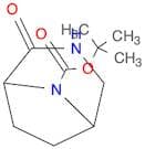 tert-butyl 2-oxo-3,8-diazabicyclo[3.2.1]octane-8-carboxylate