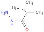 2,2-Dimethylpropionic acid hydrazide