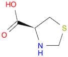 4-Thiazolidinecarboxylic acid, (4S)-