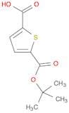 2,5-Thiophenedicarboxylic acid, mono(1,1-dimethylethyl) ester