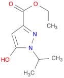1H-Pyrazole-3-carboxylic acid, 5-hydroxy-1-(1-methylethyl)-, ethyl ester