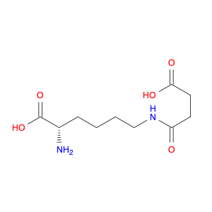 L-Lysine, N6-(3-carboxy-1-oxopropyl)-