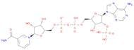 β-Nicotinamide adenine dinucleotide phosphate
