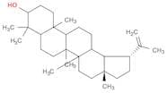 Lup-20(29)-en-3-ol, (3b)-