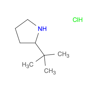 Pyrrolidine, 2-(1,1-dimethylethyl)-, hydrochloride