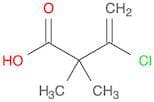 3-Butenoic acid, 3-chloro-2,2-dimethyl-