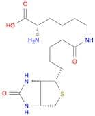 L-Lysine,N6-[5-[(3aS,4S,6aR)-hexahydro-2-oxo-1H-thieno[3,4-d]imidazol-4-yl]-1-oxopentyl]-