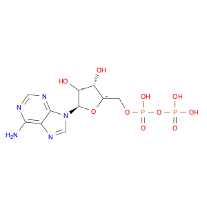 Adenosine 5'-diphosphate