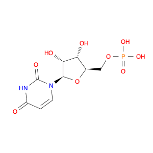 5'-Uridylic acid