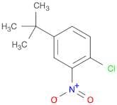 Benzene, 1-chloro-4-(1,1-dimethylethyl)-2-nitro-