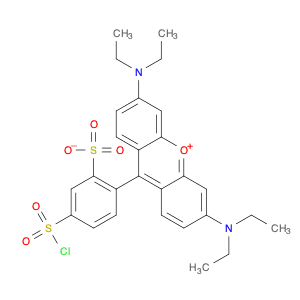 Xanthylium, 9-[4-(chlorosulfonyl)-2-sulfophenyl]-3,6-bis(diethylamino)-,inner salt