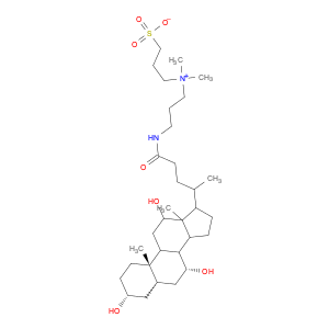 3-(3-Cholamidopropyl)dimethylammonio-1-propanesulfonate