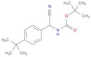 Tert-Butyl N-[(4-Tert-Butylphenyl)(Cyano)Methyl]Carbamate