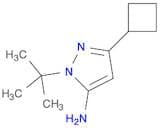 1H-Pyrazol-5-amine, 3-cyclobutyl-1-(1,1-dimethylethyl)-