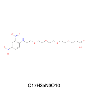 Dnp-nh-peg(4)-cooh