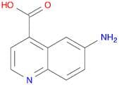 6-Aminoquinoline-4-Carboxylic Acid