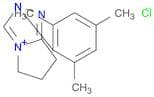 2-(2,4,6-trimethylphenyl)-6,7-dihydro-5H-pyrrolo[2,1-c][1,2,4]triazol-4-ium;chloride