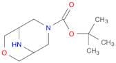 tert-Butyl 3-oxa-7,9-diazabicyclo[3.3.1]nonane-7-carboxylate