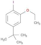 4-(tert-Butyl)-2-ethoxy-1-iodobenzene