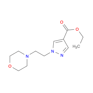 1H-Pyrazole-4-carboxylic acid, 1-[2-(4-morpholinyl)ethyl]-, ethyl ester