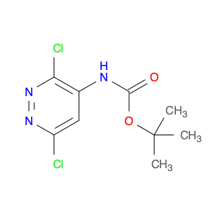 Carbamic acid, (3,6-dichloro-4-pyridazinyl)-, 1,1-dimethylethyl ester
