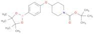 tert-Butyl 4-(4-(4,4,5,5-tetramethyl-1,3,2-dioxaborolan-2-yl)phenoxy)piperidine-1-carboxylate