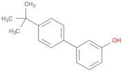 3-(4-t-butylphenyl)phenol