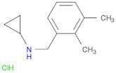 N-cyclopropyl 2,3-dimethylbenzylamine HCl