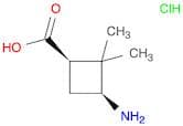 cis-3-amino-2,2-dimethylcyclobutanecarboxylic acid hydrochloride