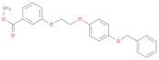 Methyl 3-(2-(4-(benzyloxy)phenoxy)ethoxy)benzoate